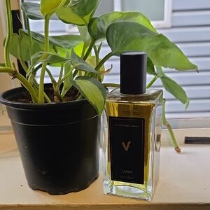 Lush Perfume with Black and Green Accents